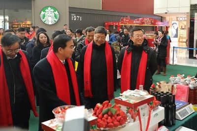 【重點關(guān)注】2019大連草莓文化旅游節(jié)暨農(nóng)業(yè)產(chǎn)品博覽會隆重啟幕