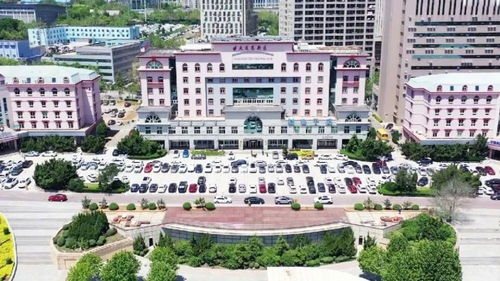 大連這個區 高 在哪